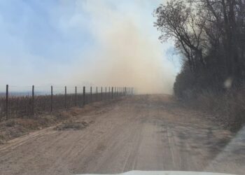 Inmobiliarias rurales alertan que el proyecto para modificar la ley de manejo del fuego es “un nuevo intento de avance sobre la propiedad privada”