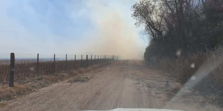 Inmobiliarias rurales alertan que el proyecto para modificar la ley de manejo del fuego es “un nuevo intento de avance sobre la propiedad privada”