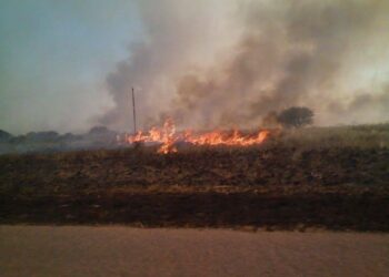 El Senado convirtió en ley el proyecto que obliga a congelar por 30 años las actividades realizadas en campos afectados por incendios “provocados o intencionales”