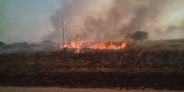 El Senado convirtió en ley el proyecto que obliga a congelar por 30 años las actividades realizadas en campos afectados por incendios “provocados o intencionales”
