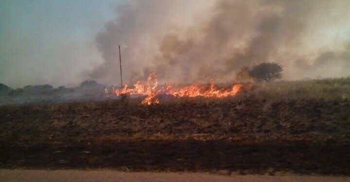 El Senado convirtió en ley el proyecto que obliga a congelar por 30 años las actividades realizadas en campos afectados por incendios “provocados o intencionales”