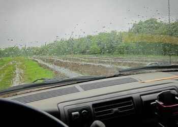 Este viernes y sábado se vienen precipitaciones abundantes en muchas de las zonas necesitadas de agua
