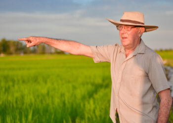 Eladio Lugrin integra la cooperativa de arroceros de Villa Elisa: Tienen que sembrarlo fuera de Entre Ríos por el alto costo eléctrico de la provincia