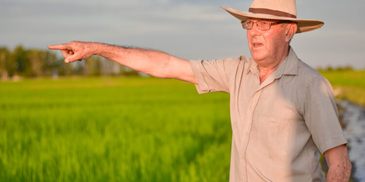 Eladio Lugrin integra la cooperativa de arroceros de Villa Elisa: Tienen que sembrarlo fuera de Entre Ríos por el alto costo eléctrico de la provincia