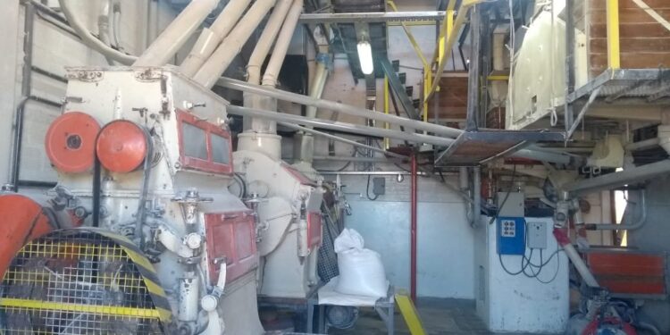 El procesamiento de trigo por parte de la molinería alcanzó el nivel más elevado de los últimos ocho años gracias al corralito contra la evasión