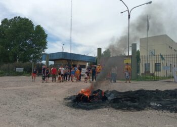 Las industrias aceiteras mejoraron la oferta con el propósito de dar por finalizado el paro: “No es el momento de politizar una negociación avanzada sobre salarios altos”