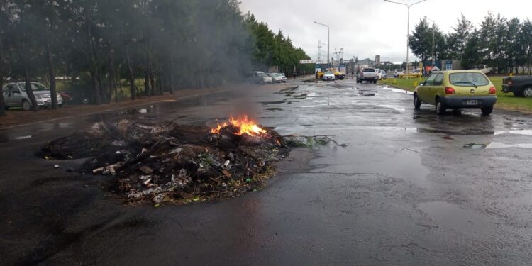 El Ministerio de Trabajo convocó a aceiteros e industrias para intentar resolver el conflito que paralizó la comercialización de granos en plena cosecha fina