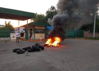 Mandá todo al silobolsa: sigue por otra jornada más el paro de aceiteros y recibidores de granos