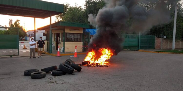 Mandá todo al silobolsa: sigue por otra jornada más el paro de aceiteros y recibidores de granos