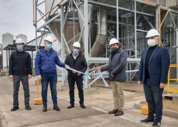 Novedad total: en 2021 Argentina se consolida como referente regional en la producción de aislados proteicos vegetales