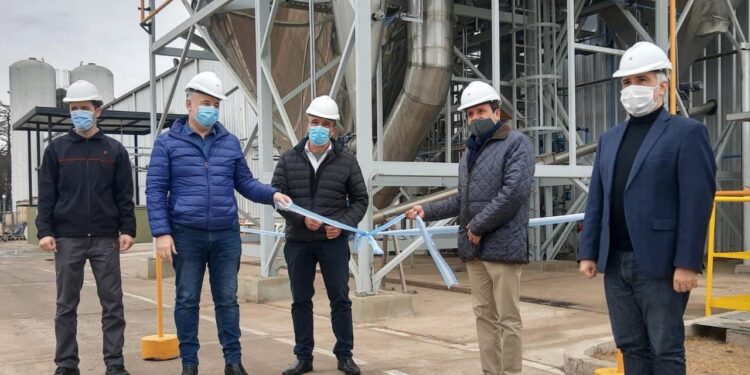 Novedad total: en 2021 Argentina se consolida como referente regional en la producción de aislados proteicos vegetales