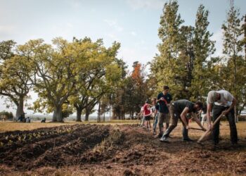 Un diputado del Frente de Todos presentó un proyecto para que el delito de usurpación de inmuebles no sea excarcelable