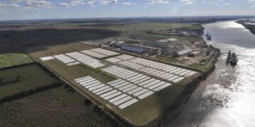 Argentina: en lo que va del año la liquidación de agrodivisas sumó más de 18.500 millones de dólares