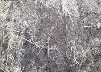 Se declaró la emergencia agropecuaria por sequía para Salta