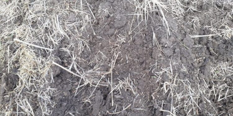 Se declaró la emergencia agropecuaria por sequía para Salta