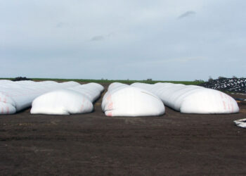 Di Stefano recomienda arbitrar activos: “Si te quedas en materia prima, que es lo que puede intervenir el gobierno, estás equivocado”