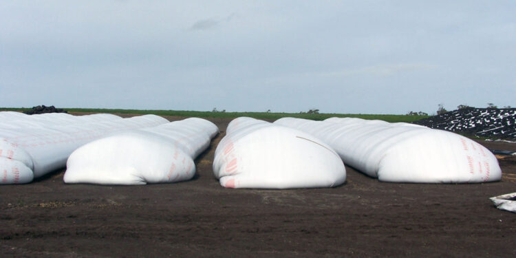 Di Stefano recomienda arbitrar activos: “Si te quedas en materia prima, que es lo que puede intervenir el gobierno, estás equivocado”
