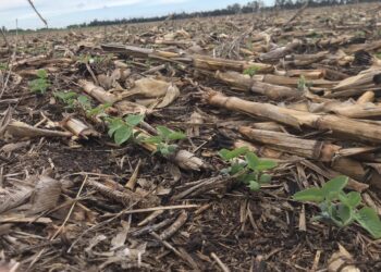 Las lluvias del fin de semana fueron generalizadas pero no todas las zonas necesitadas de agua fueron bendecidas con aportes significativos