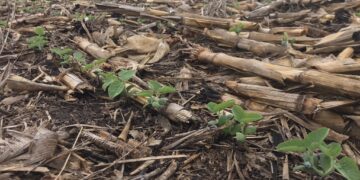 Las lluvias del fin de semana fueron generalizadas pero no todas las zonas necesitadas de agua fueron bendecidas con aportes significativos