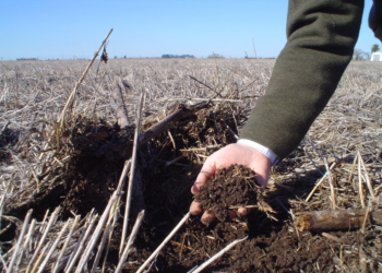 No tan feliz Día Mundial del Suelo: Porqué existen pocos motivos para festejar
