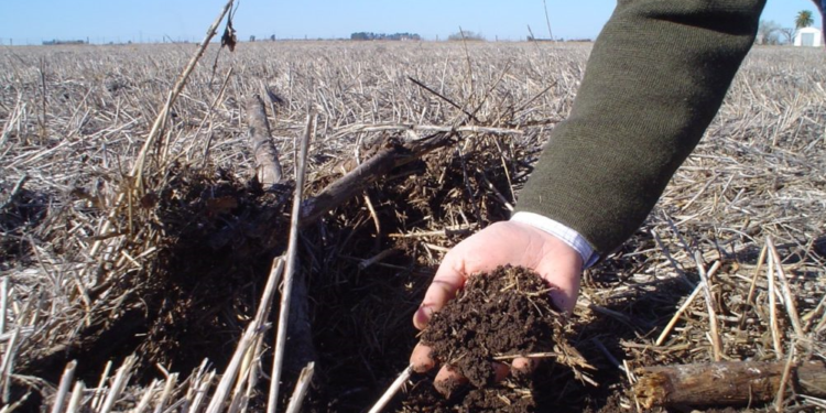 No tan feliz Día Mundial del Suelo: Porqué existen pocos motivos para festejar