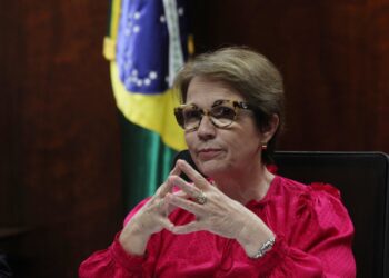 Estado presente: Gracias al subsidio estatal el área agropecuaria asegurada en Brasil creció un 98% para alcanzar un récord histórico