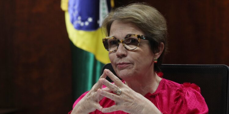 Estado presente: Gracias al subsidio estatal el área agropecuaria asegurada en Brasil creció un 98% para alcanzar un récord histórico