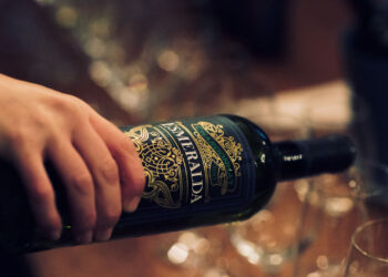 Bodegas Esmeralda ganó 1388 millones de pesos gracias a la pandemia, pero los que invirtieron en ella no la recuerdan con cariño