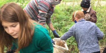 En plena pandemia, la “Biopandilla de la 17” decidió comenzar a limpiar los caminos rurales de San Andrés de Giles