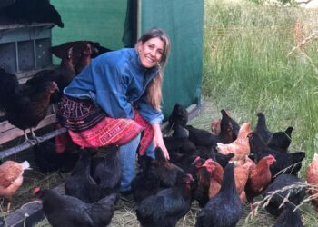 Cuatro emprendedores llevan adelante en Lobos un proyecto “con sentido”: Crían gallinas “consentidas”