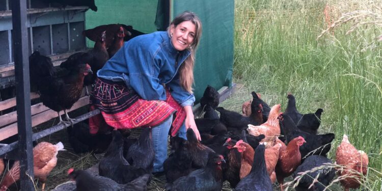 Cuatro emprendedores llevan adelante en Lobos un proyecto “con sentido”: Crían gallinas “consentidas”