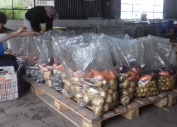 La comida no se tira: Tres bancos de alimentos se unieron para rescatar el descarte de la producción frutihortícola de Mar del Plata