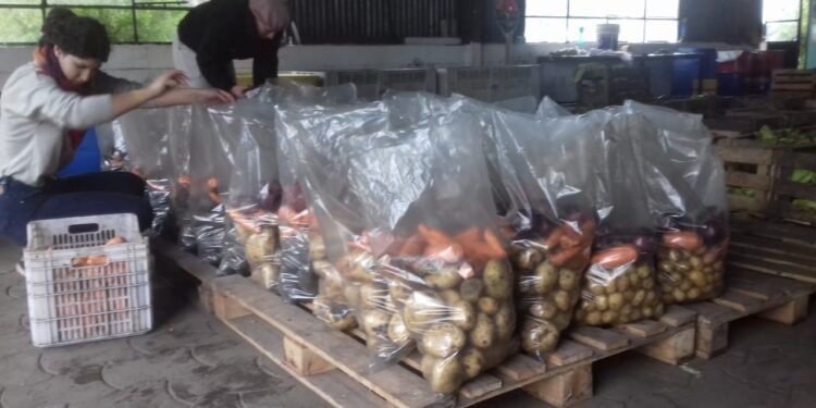 La comida no se tira: Tres bancos de alimentos se unieron para rescatar el descarte de la producción frutihortícola de Mar del Plata
