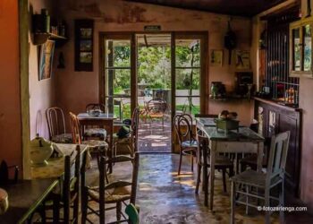 El nido vacío: Tres emprendedores cuentan cómo sobrevivieron esta cuarentena sin el turismo rural