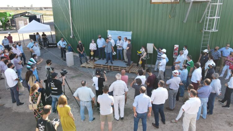 Con cama de pollo y purín de cerdo se alimenta a una nueva planta de biogás en General Alvear: Ya provee energía a la red nacional
