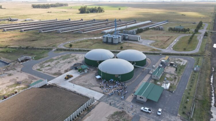 Con cama de pollo y purín de cerdo se alimenta a una nueva planta de biogás en General Alvear: Ya provee energía a la red nacional