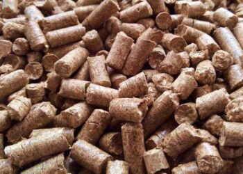 Un subproducto al que conviene prestarle atención: Las exportaciones de afrechillo o pellet de trigo crecieron más de 300% desde 2018