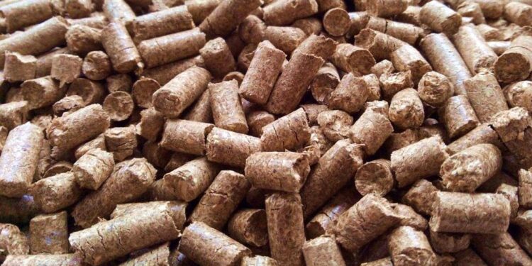 Un subproducto al que conviene prestarle atención: Las exportaciones de afrechillo o pellet de trigo crecieron más de 300% desde 2018