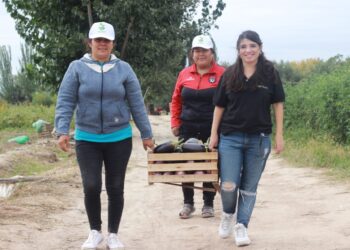 ¿Qué es Agrojusto? Una plataforma gratuita para potenciar el mercado online de la agricultura familiar