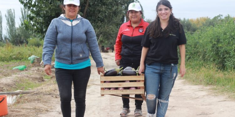 ¿Qué es Agrojusto? Una plataforma gratuita para potenciar el mercado online de la agricultura familiar