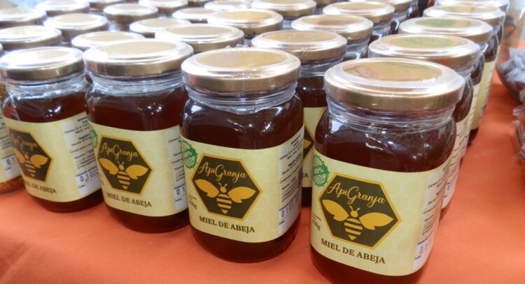 Una experiencia apícola en Colombia: Lorena nació gracias a las abejas y ahora trabaja junto a ellas