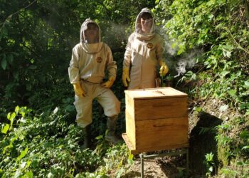 Una experiencia apícola en Colombia: Lorena nació gracias a las abejas y ahora trabaja junto a ellas