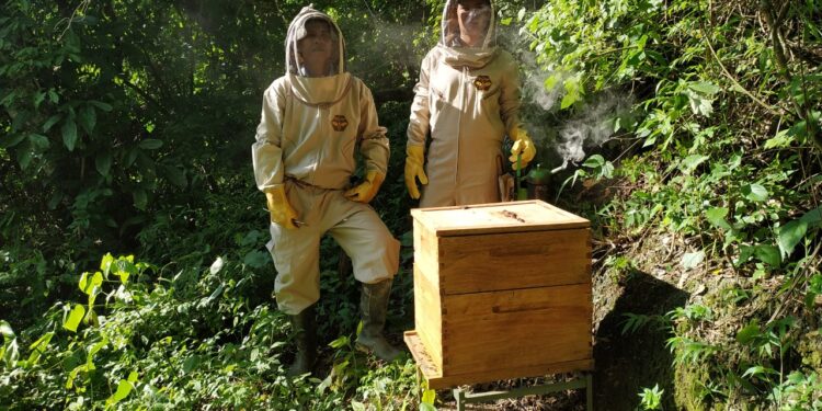 Una experiencia apícola en Colombia: Lorena nació gracias a las abejas y ahora trabaja junto a ellas