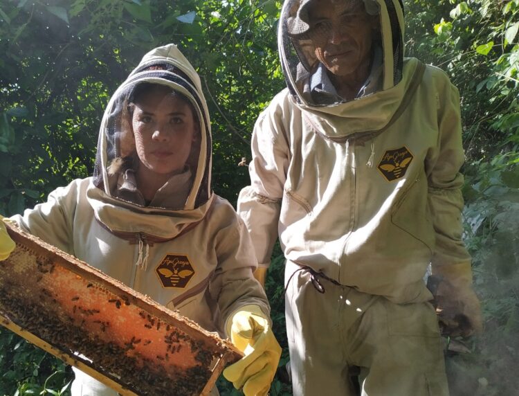 Una experiencia apícola en Colombia: Lorena nació gracias a las abejas y ahora trabaja junto a ellas