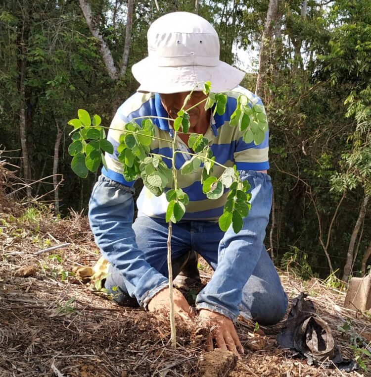 Una experiencia apícola en Colombia: Lorena nació gracias a las abejas y ahora trabaja junto a ellas
