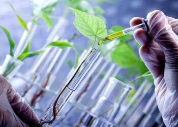 Otra señal del cambio de época: Los grandes fabricantes de agroquímicos crearon una comisión para fomentar los bioinsumos