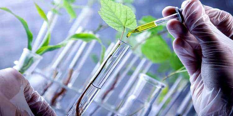 Otra señal del cambio de época: Los grandes fabricantes de agroquímicos crearon una comisión para fomentar los bioinsumos