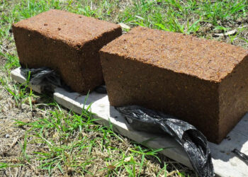 Vacas alimentadas como los astronautas: Los caramelos “multinutricionales” pueden servir en una época de sequía y de forrajes de baja calidad