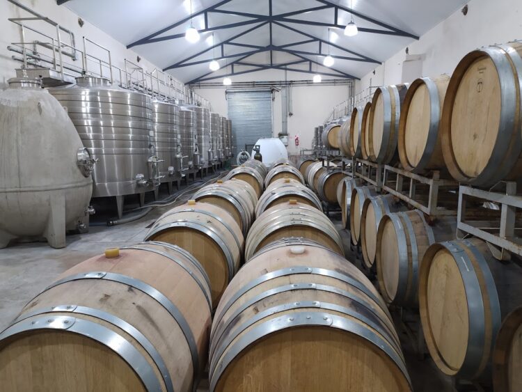 Una aventura productiva: El enólogo Ezequiel Ortego pasó de producir malbec en Mendoza a elaborar “vinos de mar” cerca de Chapadmalal