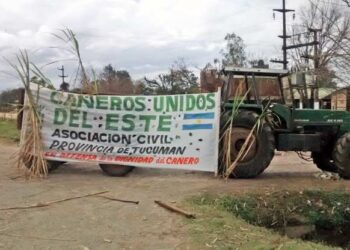 Tucumán teme que no se apruebe la prórroga de la Ley de Bicombustibles: “Sería una catástrofe”, evaluó el cañero Marcelo Fernández
